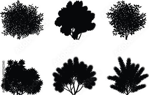 Black silhouette illustration set of six diverse tree and shrub shapes, rounded canopies, bushy foliage, botanical landscape, nature plant vector design