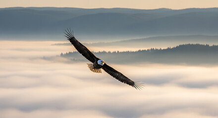 Foggy Valley Sunrise with Fog and a Majestic Eagle Soaring Above Freedom
