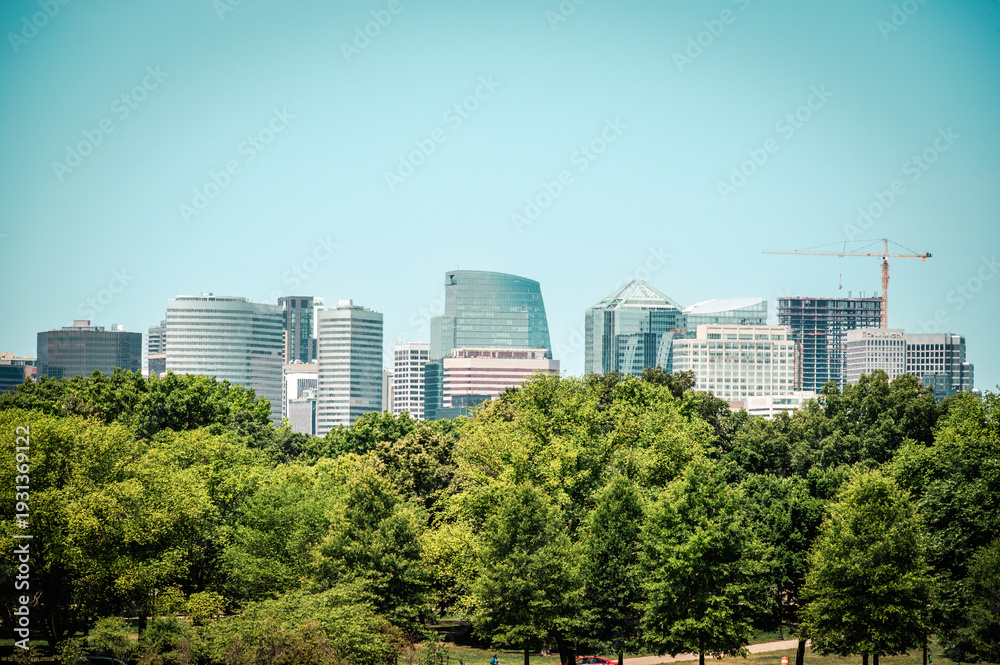 Obraz premium D.C. Skyline Through Trees