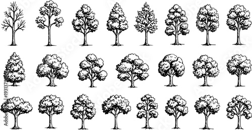 Hand-Drawn Tree Set: Vector Illustration of Various Tree Types for Design and Illustration