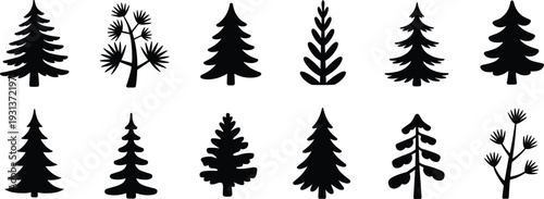 Pine and fir tree silhouette collection with various evergreen forest shapes isolated on white background black vector illustration set