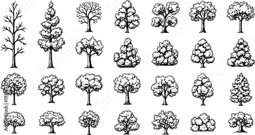 Tree Silhouettes Set: Diverse Hand-Drawn Designs for Nature  Landscape Illustrations