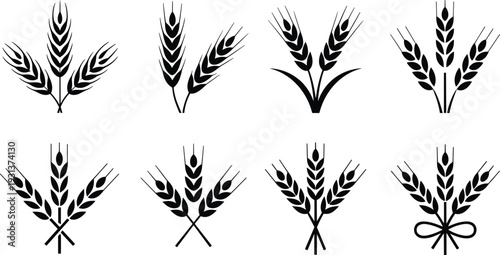 Wheat and barley ear silhouette set agricultural grain logo collection farming harvest emblem vector illustration isolated on white background