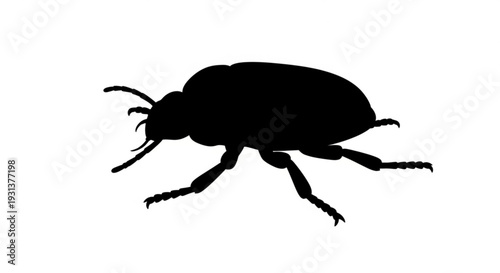 Black silhouette of a beetle insect with six legs and antennae on white background