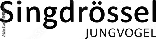 Bold black text "Singdrossel" above "JUNGVOGEL