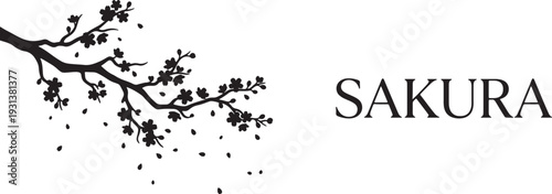 Black and white of a cherry blossom branch with scattered petals and text also transparent background