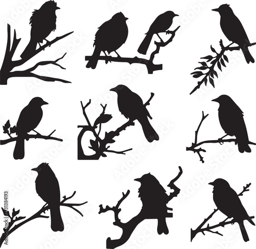 set of perched birds