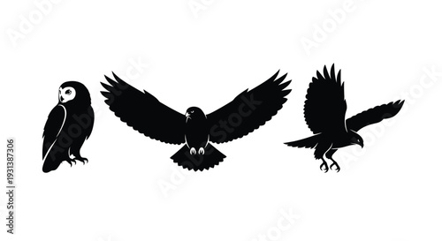 Flying Bird Silhouette Isolated on White Background