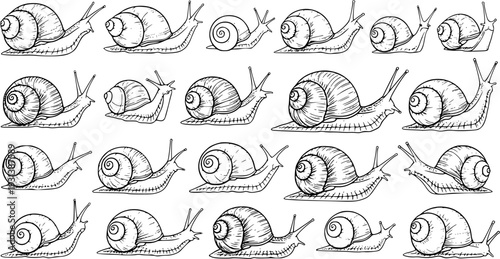 Hand-drawn black and white sketch of many garden snails in various poses. Detailed line art illustration of mollusks, suitable for patterns, backgrounds, and nature designs.
