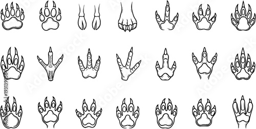 Animal Footprints Set: Diverse Wildlife Tracks  Prints in Outlined Vector Art
