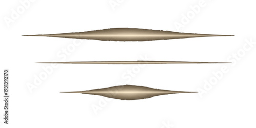 A single black and gray bird of paradise quill feather is isolated on a white background as a macro nature object once used as a writing tool with ink