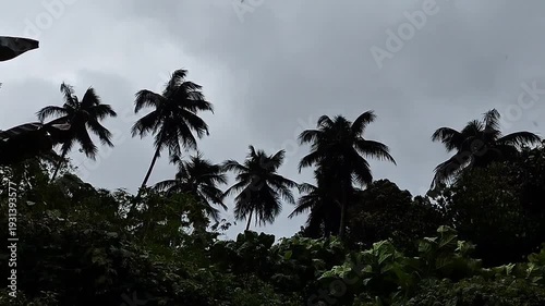 Scenic view of monsoon rain in a tropical forest with palm trees silhouettes.