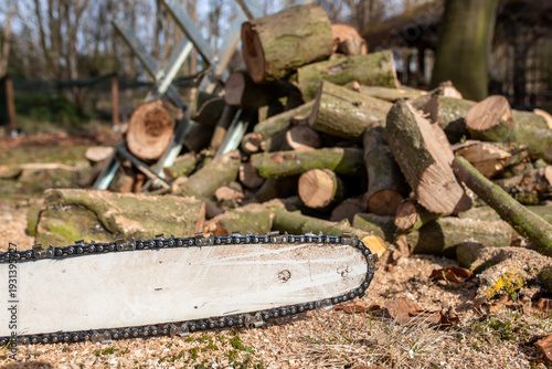 Brennholz in kleine Teile mit der Kettensäge geschnitten