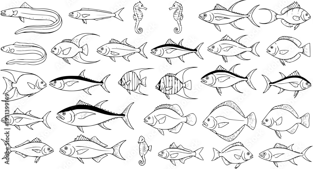 Fototapeta premium Fish Variety Line Art Illustration: Ocean Life, Sea Creatures Seafood Design Elements
