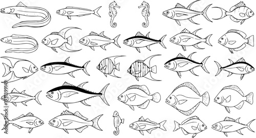 Fish Variety Line Art Illustration: Ocean Life, Sea Creatures  Seafood Design Elements