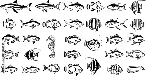 Marine Life Doodle Set: A Collection of Hand-Drawn Fish and Sea Creatures
