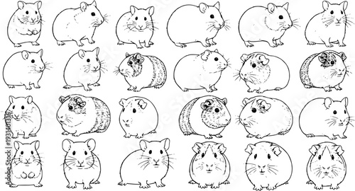 Hamster and Guinea Pig Mania: Black and White Vector Illustration with Multiple Poses