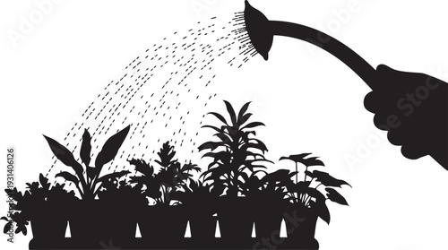 Silhouette of hand watering plants in pots with hose
