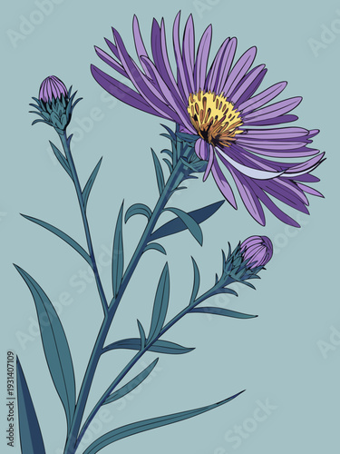 Vibrant purple aster flower with delicate petals and a bright yellow center set against a soft blue background showcasing its natural beauty.