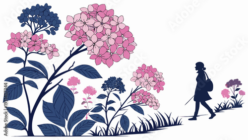Woman walking among large pink and blue hydrangea flowers.
