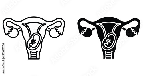 Female reproductive system anatomy icon showing uterus with fetus embryo development pregnancy stages medical illustration set for healthcare education and biology