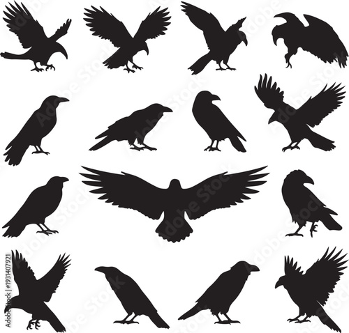 set of raven