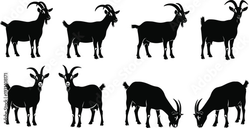 Goat silhouette vector illustration, farm animal graphics, grazing livestock drawing collection, black and white nature art - flat vector illustration