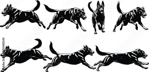 Dog running motion silhouette vector illustration, canine locomotion graphics, animal gait drawing collection, black and white pet art - flat vector illustration