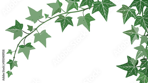 Lush Green Ivy Vine Border on White Background.