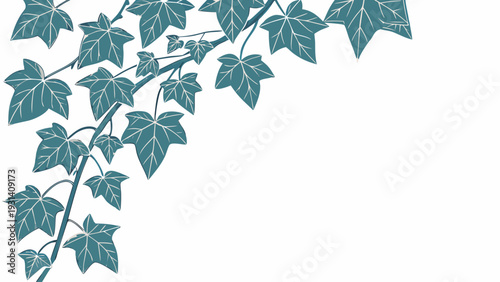 Lush green ivy vines with delicate leaves creating a natural border on a pristine white background.