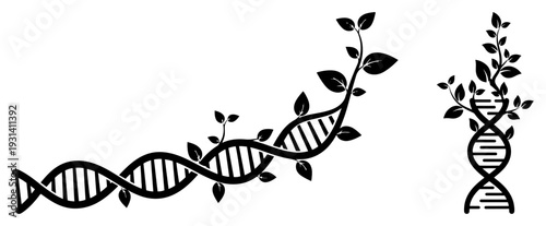 DNA double helix structure morphing into growing plant vines with leaves symbolizing bioengineering