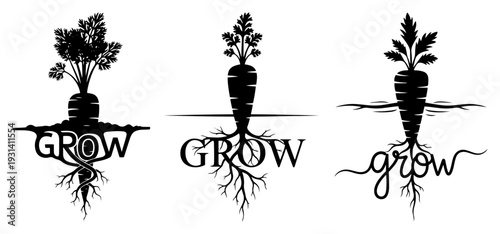 Carrot with the word grow in various styles representing garden growth