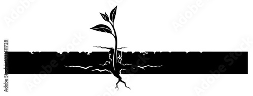 Small plant sprout growing through concrete crack representing resilience and hope