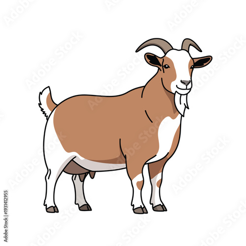 Vector illustration of a standing goat with distinctive horns and brown white fur