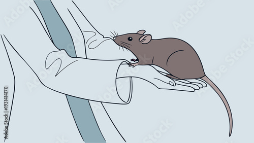 A small brown rat held gently in a persons hand simple illustration.