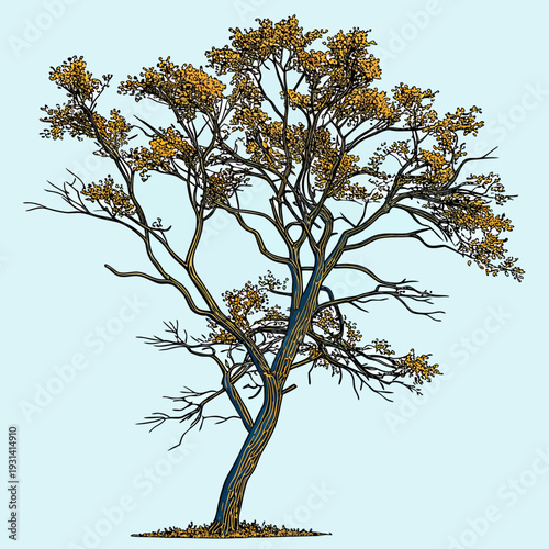 Tree with highlighted branch showing disease or damage.