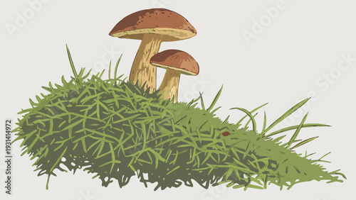 Two wild mushrooms growing on a patch of vibrant green moss.