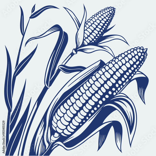 Detailed illustration of two corn cobs on stalks with leaves.