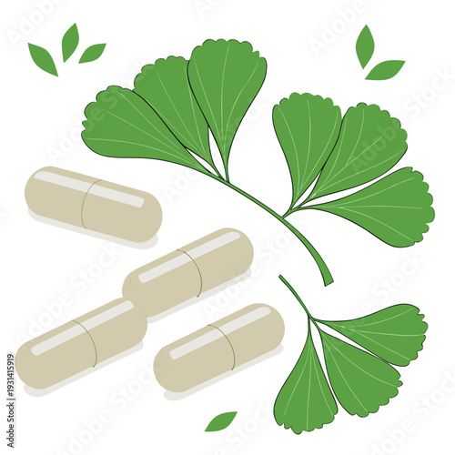 Ginkgo Biloba Leaves and Capsules for Natural Health Supplement.