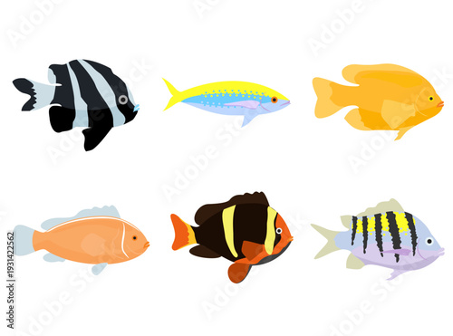 Funny tropical fish. Colorful exotic fish. Marine animals. Underwater wildlife. Tropical sea water inhabitants. Swimming cartoon angelfish. Fish cartoon icon set