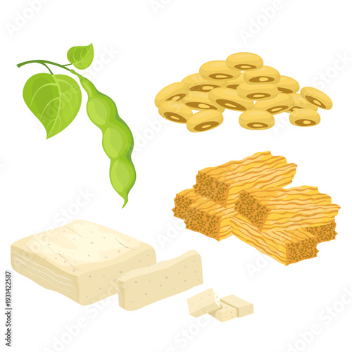 Soy bean products tofu, fuzhu, soy beans. Versatility and diversity of soy-based foods. Feta cheese. Vegan organic soy cheese. Milk bean curd food of coagulating soy milk