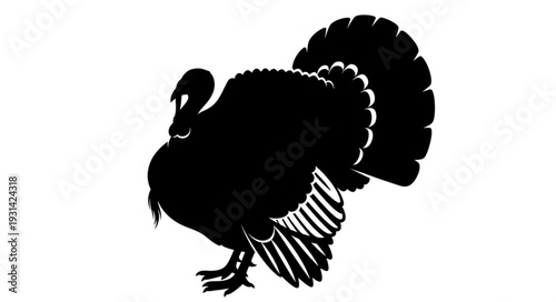 Male Turkey Silhouette Illustration.