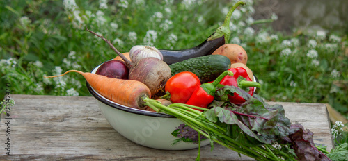 Fresh harvest of organic vegetables in a bowl on a wooden bench in the garden