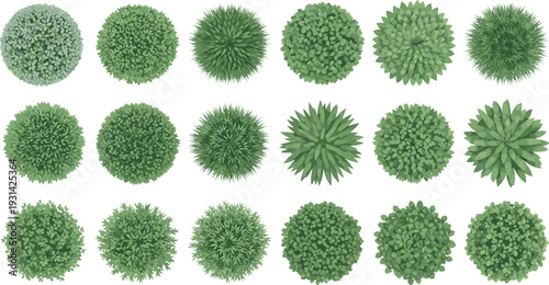 Collection of twenty diverse green plant top views arranged in a grid, showcasing foliage textures, leaf structures, density, and botanical diversity for design and visualization