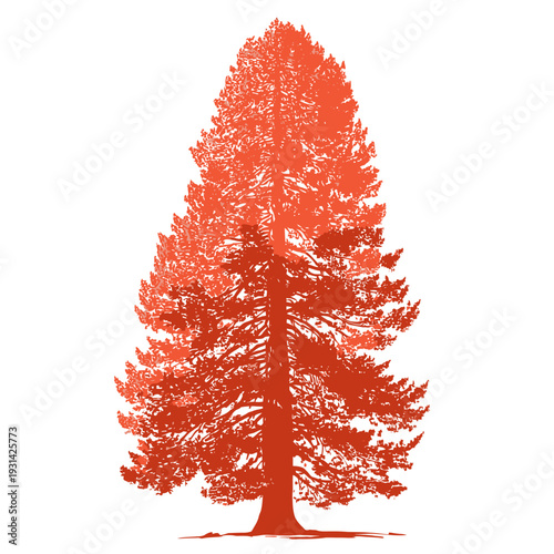 Stylized illustration of a tall redwood tree in shades of orange against white.