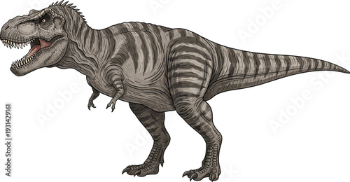 Realistic tyrannosaurus rex dinosaur prehistoric predator detailed ancient reptile isolated vector illustration concept