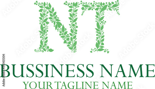 NT initials monogram letter text alphabet logo design.