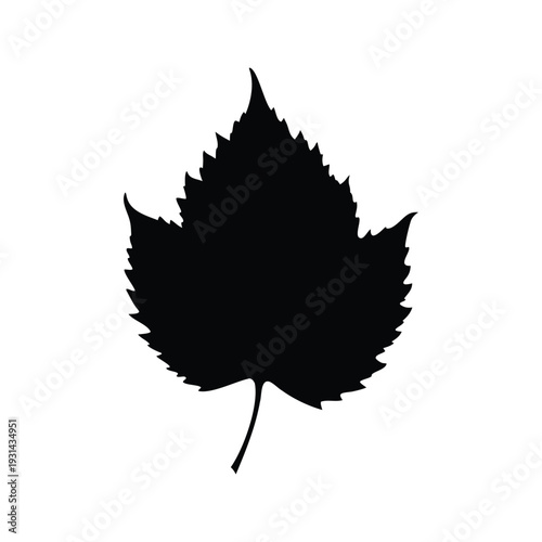 birch leaf silhouette vector illustration, Elegant leaf silhouette vector illustration showcasing nature's beauty in a minimalist design
