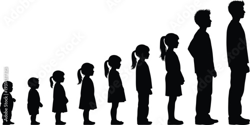 Human growth and development stages silhouette