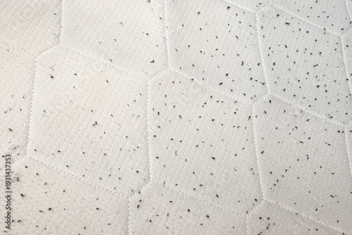 Used mattress close up background with stains and black lint